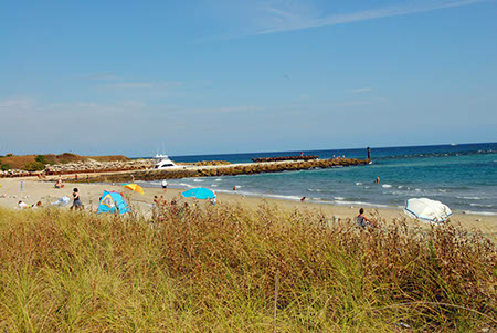 south inlet park