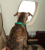 Chloe looking at clouds